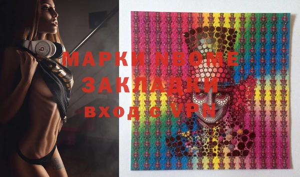 прущие грибы Абинск