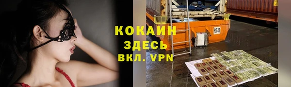 стаф Абаза