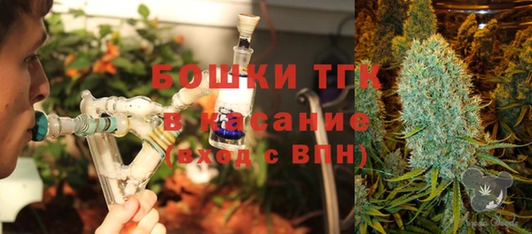 прущие грибы Абинск